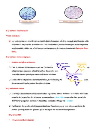 9
B-2/ les tests enzymatiques
* Tests classique:
 ces tests consistent à mettre en contact la bactérie avec un substrat marqué spécifique de cette
enzyme si la bactérie est présente dans l’échantillon testé, la réaction enzyme-substrat peut se
produire et être détectée à l’œil nu par un changement de couleurdu substrat . Exemple: Tests
BANA
B-3/ les tests immunologiques
 réaction antigène- anticorps :
 C’est la mise en évidence des Ag-Ac par l’utilisation de
billes microscopiques en latex à la surface desquelles sont
attachées des Ac spécifiques des bactéries recherchées.
 Si la bactérie est présente dans l’échantillon, la réaction Ag-Ac aura
lieu et permet l’agglutination des billes de latex.
B-4/ les sondes d’ADN
 Le principe des sondes nucléiques consiste à séparer les 2 brins d’ADN de la bactérie d’intéret à
apparier les bases d’un des brins que nous appelons « brin cible » avec celle d’un autre brin
d’ADN marqué par un élément radioactif ou non radioactif appelé « sonde »
 L’utilisation des sondes génétiques est basée sur l’existence, pour tout microorganisme, de
parties spécifiques de son génome qui le distingue des autres microorganismes
B-5/ le test PCR
 Polymérase Chain réaction
 