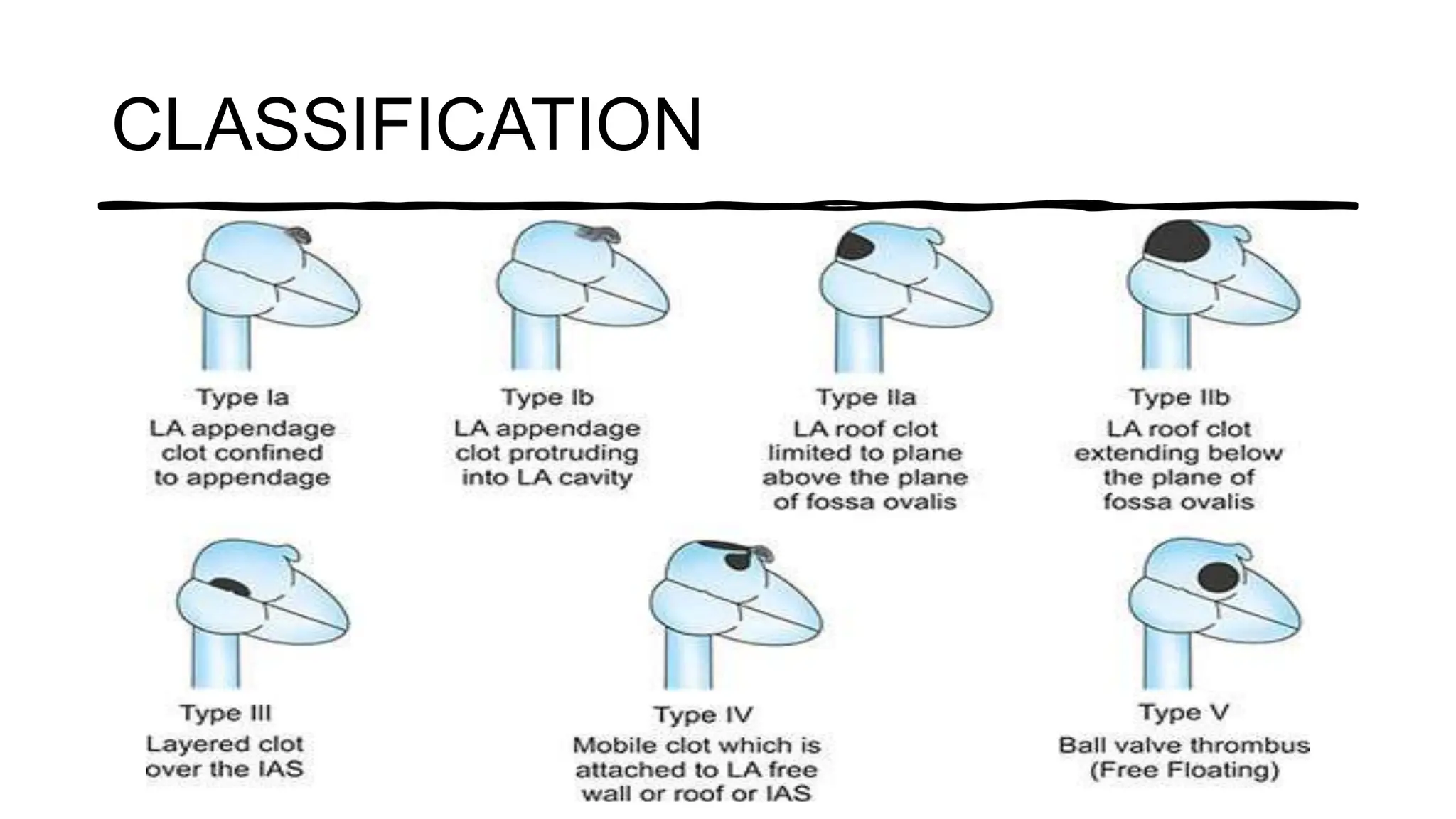 CLASSIFICATION
 