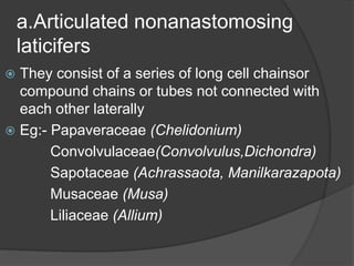 a.Articulated nonanastomosing
laticifers
 They consist of a series of long cell chainsor
compound chains or tubes not connected with
each other laterally
 Eg:- Papaveraceae (Chelidonium)
Convolvulaceae(Convolvulus,Dichondra)
Sapotaceae (Achrassaota, Manilkarazapota)
Musaceae (Musa)
Liliaceae (Allium)
 