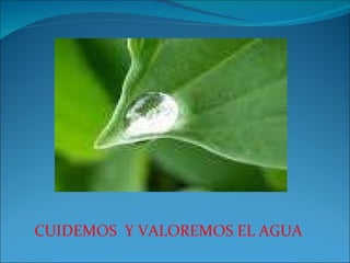 CUIDEMOS  Y VALOREMOS EL AGUA  