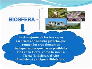 Es el conjunto de las tres capas esenciales de nuestro planeta, que reúnen los tres elementos indispensables que hacen posible la vida en la Tierra, como lo son: La Tierra (Litósfera), el Aire (Atmósfera) y el Agua (Hidrósfera). 