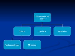 Componentes del  suelo Sólidos  Líquidos Gaseosos Restos orgánicos Minerales 
