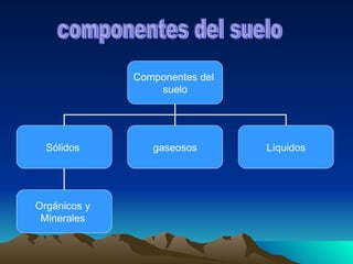 componentes del suelo Componentes del  suelo Sólidos  gaseosos Líquidos Orgánicos y  Minerales  