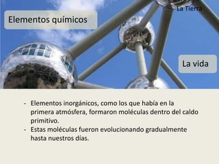 La Tierra
Elementos químicos



                                                     La vida



   - Elementos inorgánicos, como los que había en la
     primera atmósfera, formaron moléculas dentro del caldo
     primitivo.
   - Estas moléculas fueron evolucionando gradualmente
     hasta nuestros días.
 