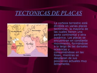 TECTONICAS DE PLACAS
La corteza terrestre está
dividida en varias placas
tectónicas, la mayoría de
las cuales tienen una
parte continental y otra
oceánica. Las placas se
encuentran en constante
movimiento, formándose
a lo largo de las dorsales
oceánicas y
consumiéndose en las
fosas, mientras se
desplazan de sus
posiciones actuales muy
lentamente.
 