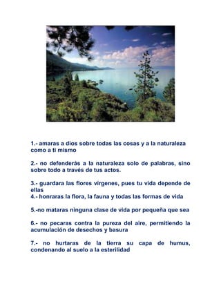1.- amaras a dios sobre todas las cosas y a la naturaleza
como a ti mismo
2.- no defenderás a la naturaleza solo de palabras, sino
sobre todo a través de tus actos.
3.- guardara las flores vírgenes, pues tu vida depende de
ellas
4.- honraras la flora, la fauna y todas las formas de vida
5.-no mataras ninguna clase de vida por pequeña que sea
6.- no pecaras contra la pureza del aire, permitiendo la
acumulación de desechos y basura
7.- no hurtaras de la tierra su capa de humus,
condenando al suelo a la esterilidad
 