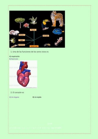 

1. Una de las funciones de los seres vivos es
A) respiración
B) Nutrición



2. El corazón es
A) Un órgano

B) Un teji...