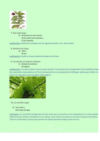 

7. Raíz tallo hojas
A) Pertenecen al reino animal
B) Son partes de las plantas x
C) Son aparatos

Justificación: la planta se compone con las siguientes partes: raíz , tallo y hojas


8. Sostiene las hojas
A) tallo x
B) raíz

Justificación: el tallo es el que sostiene las hojas de las flores.


9. Las plantas al respirar expulsan
A) dióxido de carbono x
B) oxígeno

Justificación: es un gas incoloro, denso y poco reactivo. Forma parte de la composición de la tropósfera (capa
de la atmósfera más próxima a la Tierra) actualmente en una proporción de 350 ppm. (partes por millón). Su
ciclo en la naturaleza está vinculado al del oxígeno.



10. La clorofila capta
A) la luz solar x
B) el vapor de agua
Justificación: son una familia de pigmentos de color verde que se encuentran en las cianobacterias y en todos aquellos
organismos que contienen cloroplastos en sus células, lo que incluye a las plantas y a los diversos grupos de protistte,
crítica en la fotosíntesis, proceso que permite a las plantas absorber energía a partir de la luz.
CLAVE
1C–2A–3A– 4 A - 5 C–

6 A - 7 B - 8 A - 9 A - 10 C 1º PARTE

 