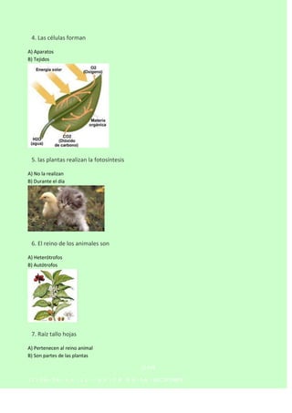 

4. Las células forman
A) Aparatos
B) Tejidos



5. las plantas realizan la fotosíntesis
A) No la realizan
B) Durante el día



6. El reino de los animales son
A) Heterótrofos
B) Autótrofos



7. Raíz tallo hojas
A) Pertenecen al reino animal
B) Son partes de las plantas
CLAVE
1C–2A–3A– 4 A - 5 C–

6 A - 7 B - 8 A - 9 A - 10 C 1º PARTE

 