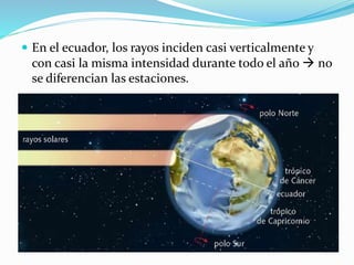  En el ecuador, los rayos inciden casi verticalmente y 
con casi la misma intensidad durante todo el año  no 
se diferencian las estaciones. 
 