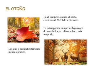 EL OTOÑO
En el hemisferio norte, el otoño
comienza el 22-23 de septiembre.
Es la temporada en que las hojas caen
de los árboles y el clima se hace más
templado.
Los días y las noches tienen la
misma duración.
 