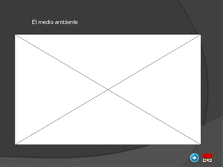 El medio ambiente
 