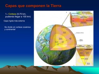 Capas que componen la Tierra
1.- Corteza (5-70 km,
pudiendo llegar a 100 km)
Capa rígida más externa
Se divide en corteza oceánica
y continental
 