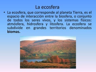 La ecosfera
• La ecosfera, que corresponde al planeta Tierra, es el
espacio de interacción entre la biosfera, o conjunto
de todos los seres vivos, y los sistemas físicos:
atmósfera, hidrosfera y litosfera. La ecosfera se
subdivide en grandes territorios denominados
biomas.
 
