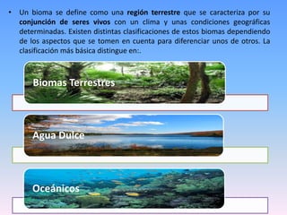 • Un bioma se define como una región terrestre que se caracteriza por su
conjunción de seres vivos con un clima y unas condiciones geográficas
determinadas. Existen distintas clasificaciones de estos biomas dependiendo
de los aspectos que se tomen en cuenta para diferenciar unos de otros. La
clasificación más básica distingue en:.
Biomas Terrestres
Agua Dulce
Oceánicos
 