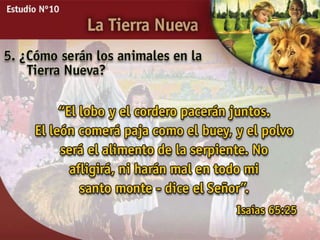 Estudio Bíblico: La tierra nueva