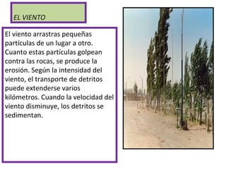 EL VIENTO
El viento arrastras pequeñas
partículas de un lugar a otro.
Cuanto estas partículas golpean
contra las rocas, se produce la
erosión. Según la intensidad del
viento, el transporte de detritos
puede extenderse varios
kilómetros. Cuando la velocidad del
viento disminuye, los detritos se
sedimentan.
 