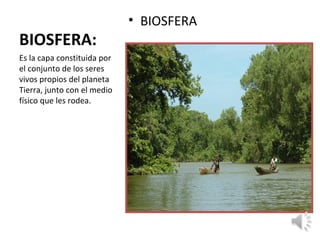 BIOSFERA:
• BIOSFERA
Es la capa constituida por
el conjunto de los seres
vivos propios del planeta
Tierra, junto con el medio
físico que les rodea.
 