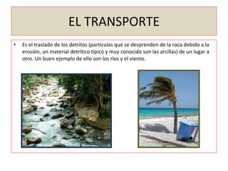 EL TRANSPORTE Es el traslado de los detritos (partículas que se desprenden de la roca debido a la erosión, un material detrítico típico y muy conocido son las arcillas) de un lugar a otro. Un buen ejemplo de ello son los ríos y el viento. 