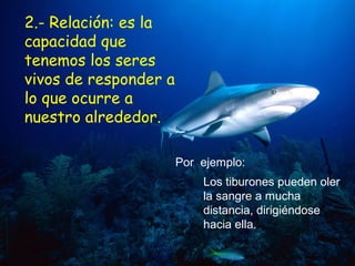 2.- Relación: es la
capacidad que
tenemos los seres
vivos de responder a
lo que ocurre a
nuestro alrededor.
Los tiburones ...