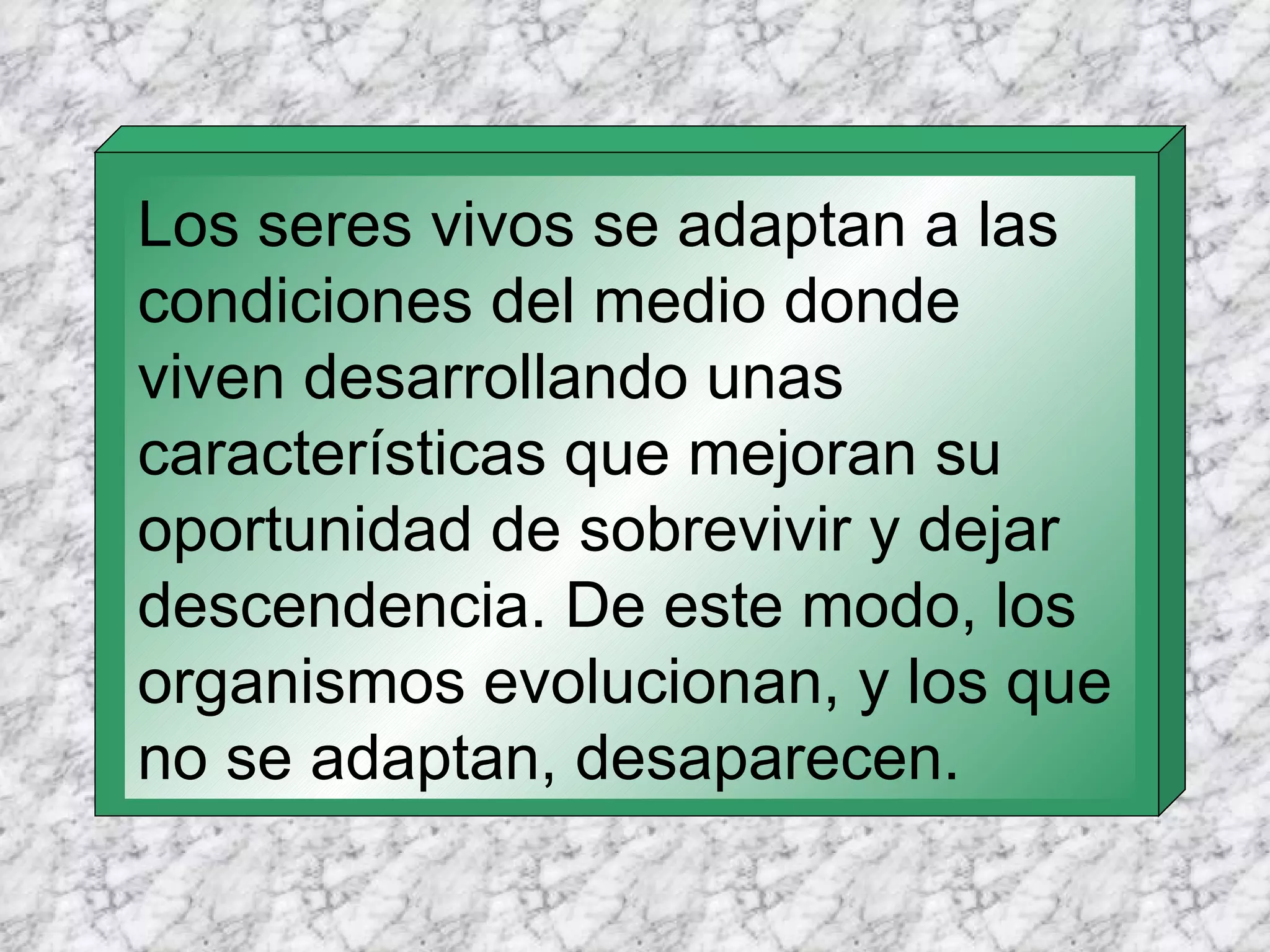 Los seres vivos se adaptan a las condiciones del medio donde viven desarrollando unas características que mejoran su oportunidad de sobrevivir y dejar descendencia. De este modo, los organismos evolucionan, y los que no se adaptan, desaparecen. 