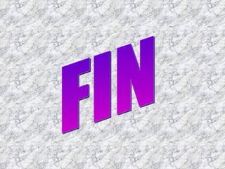 FIN 