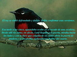 El rey se sintió defraudado y dolido. Debía confirmar esas versiones. Esa tarde a las cinco, aguardaba oculto en el recodo de una escalera. Desde allí vio cómo, en efecto, Latif llegaba a la puerta, miraba hacia los lados y con la llave que colgaba de su cuello abría la puerta de madera y se escabullía sigilosamente dentro del cuarto.   