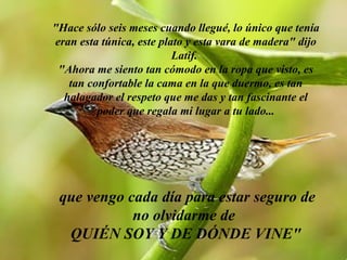 "Hace sólo seis meses cuando llegué, lo único que tenía eran esta túnica, este plato y esta vara de madera" dijo Latif.  "Ahora me siento tan cómodo en la ropa que visto, es tan confortable la cama en la que duermo, es tan halagador el respeto que me das y tan fascinante el poder que regala mi lugar a tu lado... que vengo cada día para estar seguro de no olvidarme de  QUIÉN SOY Y DE DÓNDE VINE" 