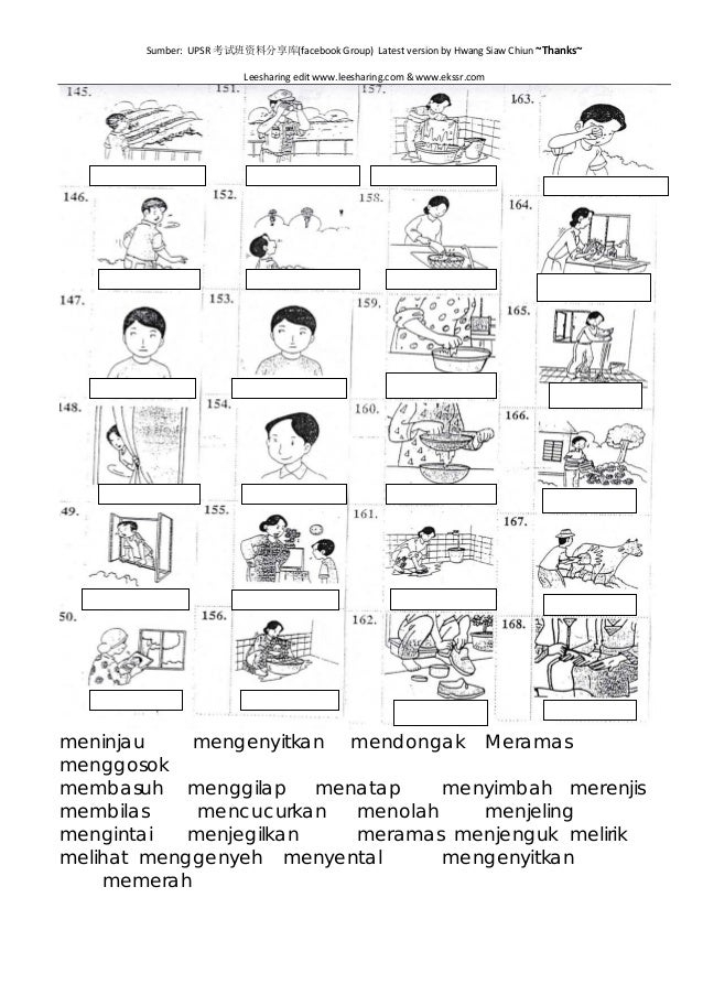 Latihan kata kerja bergambar