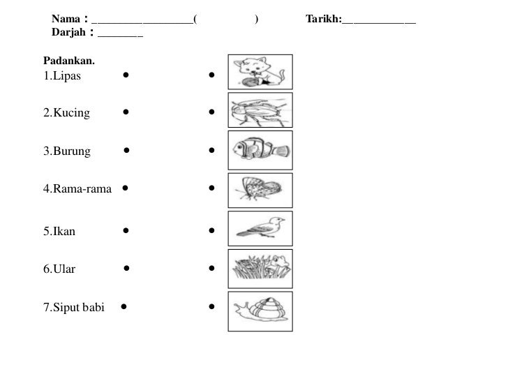 Latihan Nama Haiwan