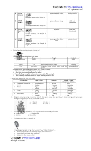 Copyright ©www.enersi.com
                                                                                                ...