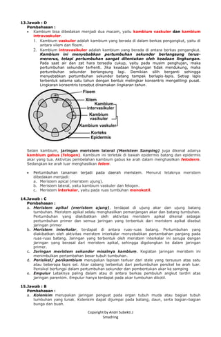 Copyright by Andri Subekti.J
Smadring
13.Jawab : D
Pembahasan :
 Kambium bisa dibedakan menjadi dua macam, yaitu kambium vaskuler dan kambium
intravaskuler.
1. Kambium vaskuler adalah kambium yang berada di dalam berkas pengangkut, yaitu di
antara xilem dan floem.
2. Kambium intravasikuler adalah kambium yang berada di antara berkas pengangkut.
Kambium ini menyebabkan pertumbuhan sekunder berlangsung terus-
menerus, tetapi pertumbuhan sangat ditentukan oleh keadaan lingkungan.
Pada saat air dan zat hara tersedia cukup, yaitu pada musim penghujan, maka
pertumbuhan sekunder terhenti. Jika keadaan lingkungan tidak mendukung, maka
pertumbuhan sekunder berlangsung lagi. Demikian silih berganti sehingga
menyebabkan pertumbuhan sekunder batang tampak berlapis-lapis. Setiap lapis
terbentuk selama satu tahun dengan bentuk melingkar konsentris mengelilingi pusat.
Lingkaran konsentris tersebut dinamakan lingkaran tahun.
Selain kambium, jaringan meristem lateral (Meristem Samping) juga dikenal adanya
kambium gabus (felogen). Kambium ini terletak di bawah epidermis batang dan epidermis
akar yang tua. Aktivitas pembelahan kambium gabus ke arah dalam menghasilkan feloderm.
Sedangkan ke arah luar menghasilkan felem.
 Pertumbuhan tanaman terjadi pada daerah meristem. Menurut letaknya meristem
dibedakan menjadi:
a. Meristem apical (meristem ujung).
b. Meristem lateral, yaitu kambium vaskuler dan felogen.
c. Meristem interkalar, yaitu pada ruas tumbuhan monokotil.
14.Jawab : C
Pembahasan :
a. Meristem apikal (meristem ujung), terdapat di ujung akar dan ujung batang
tumbuhan. Meristem apikal selalu menghasilkan pemanjangan akar dan batang tumbuhan.
Pertumbuhan yang diakibatkan oleh aktivitas meristem apikal dikenal sebagai
pertumbuhan primer dan semua jaringan yang terbentuk dari meristem apikal disebut
jaringan primer
b. Meristem interkalar, terdapat di antara ruas-ruas batang. Pertumbuhan yang
diakibatkan oleh aktivitas meristem interkalar menyebabkan pertambahan panjang pada
ruas-ruas batang. Jaringan yang terbentuk oleh meristem interkalar ini serupa dengan
jaringan yang berasal dari meristem apikal, sehingga digolongkan ke dalam jaringan
primer.
c. Jaringan meristem sekunder misalnya kambium. Kegiatan jaringan meristem ini
menimbulkan pertambahan besar tubuh tumbuhan.
d. Perisikel/ perikambium merupakan lapisan terluar dari stele yang tersusun atas satu
atau beberapa lapis sel. Akar cabang terbentuk dari pertumbuhan persikel ke arah luar.
Perisikel berfungsi dalam pertumbuhan sekunder dan pembentukan akar ke samping
e. Empulur Letaknya paling dalam atau di antara berkas pembuluh angkut terdiri atas
jaringan parenkim. Empulur hanya terdapat pada akar tumbuhan dikotil.
15.Jawab : B
Pembahasan :
a. Kolenkim merupakan jaringan penguat pada organ tubuh muda atau bagian tubuh
tumbuhan yang lunak. Kolenkim dapat dijumpai pada batang, daun, serta bagian-bagian
bunga dan buah.
 