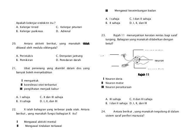 Bab 2: Koordinasi Badan