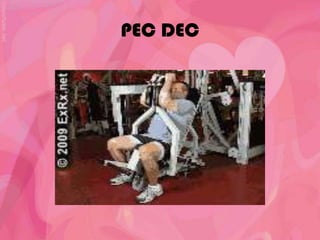 PEC DEC
 