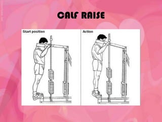 CALF RAISE
 