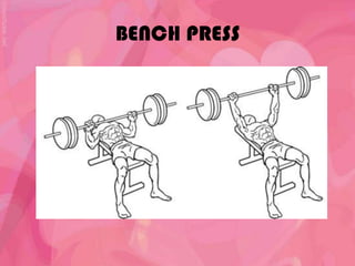BENCH PRESS
 