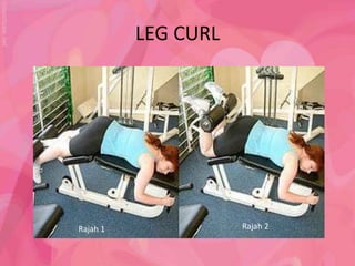 LEG CURL




Rajah 1              Rajah 2
 