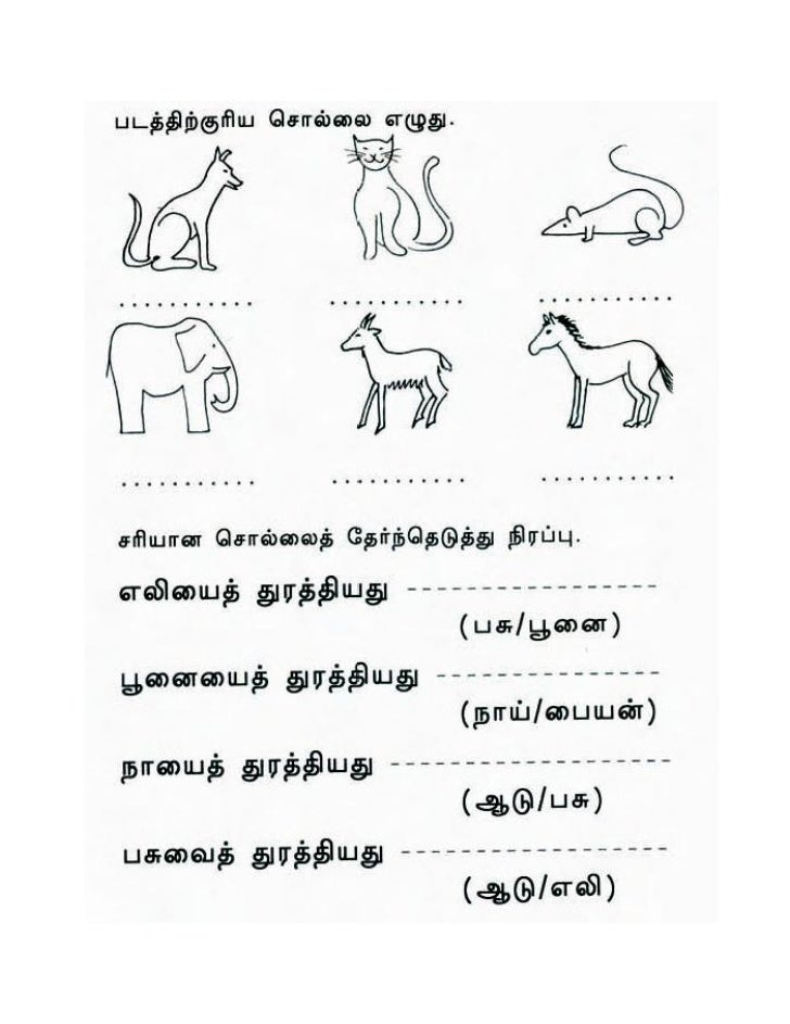 Contoh Karangan Tamil - Contoh 37