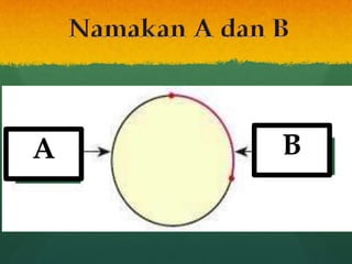 A B
 