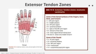 Latihan Fungsi Tangan--------------.pptx