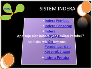 HOME                 SISTEM INDERA



       Apa saja alat indera yang kalian ketahui?
             Mari kita pelajari bersama
 