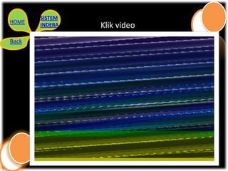 SISTEM
HOME
       INDERA   Klik video
Back
 