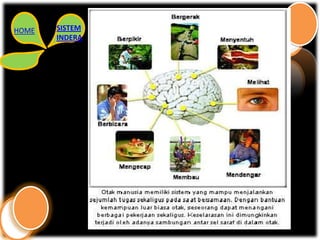 HOME   SISTEM
       INDERA
 