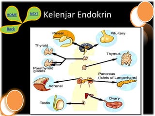 HOME   NEXT
              Kelenjar Endokrin
Back
 