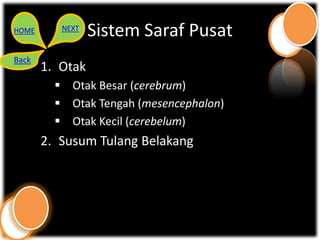 HOME      NEXT
                 Sistem Saraf Pusat
Back
       1. Otak
          Otak Besar (cerebrum)
          Otak Tengah (mesencephalon)
          Otak Kecil (cerebelum)
       2. Susum Tulang Belakang
 
