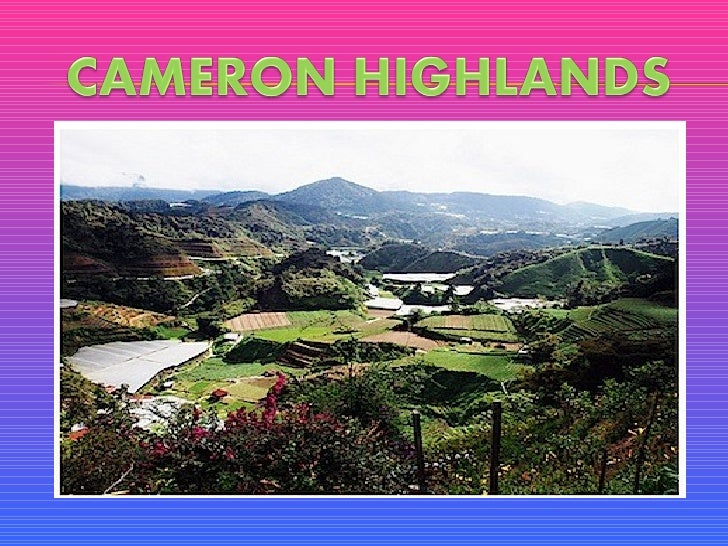 Soalan Bina Ayat Bahasa Melayu Tahun 3 - Kuora y