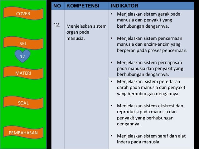 Indikator prediksi forex jaringan saraf