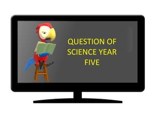 QUESTION OF
SCIENCE YEAR
    FIVE
 