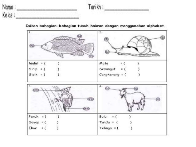 Latihan Sains Tahun 1