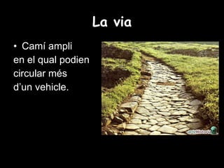 La via Camí ampli en el qual podien  circular més  d’un vehicle. 